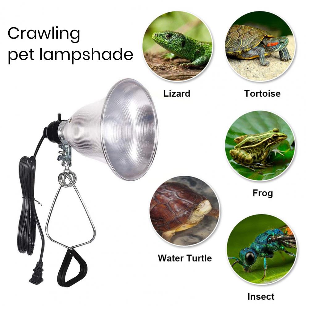 Lampshade for Table Lamp Photo - огляд і ціна Photography Lighting Workshops